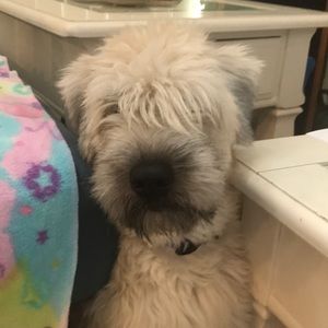 Meet your Posher, Angela